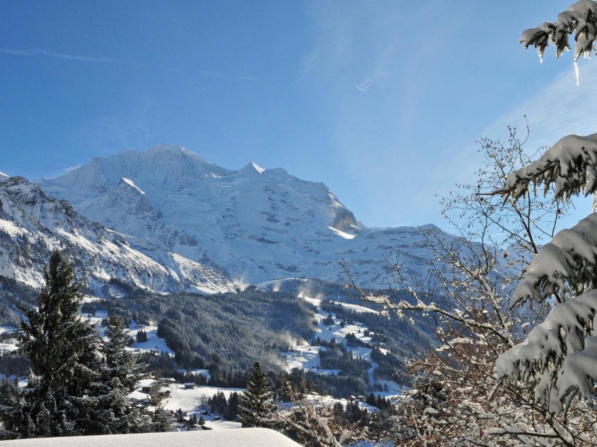 Apartment Silberhorn-1 By Interhome Wengen Dış mekan fotoğraf