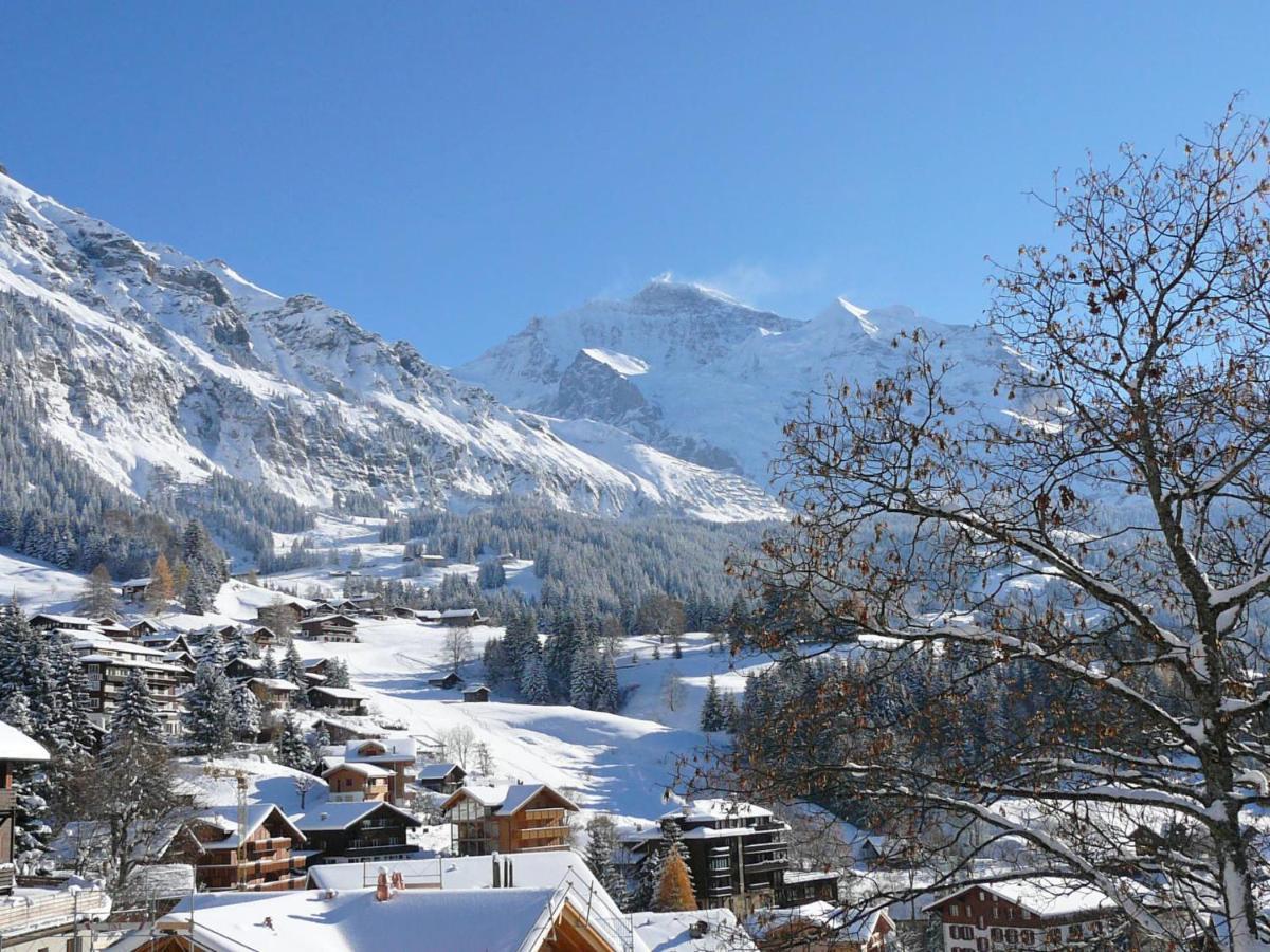 Apartment Silberhorn-1 By Interhome Wengen Dış mekan fotoğraf